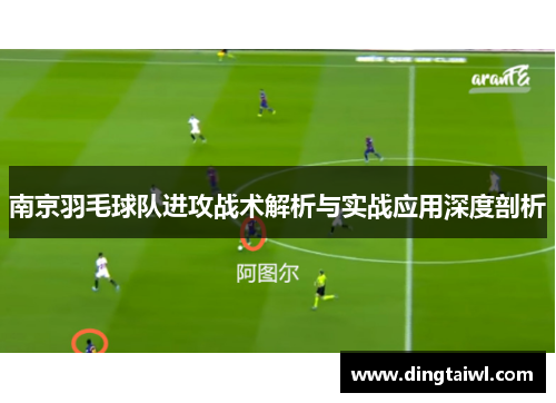 南京羽毛球队进攻战术解析与实战应用深度剖析