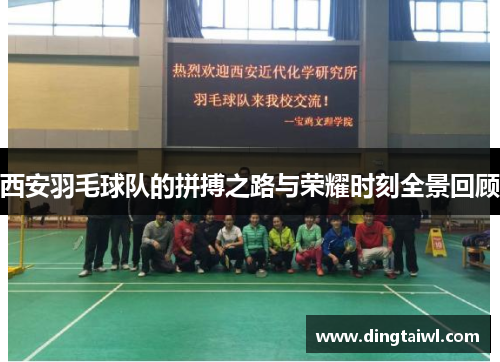 西安羽毛球队的拼搏之路与荣耀时刻全景回顾