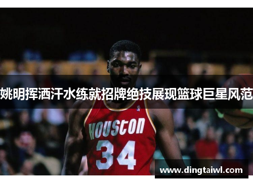 姚明挥洒汗水练就招牌绝技展现篮球巨星风范
