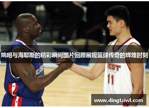 姚明与海耶斯的精彩瞬间图片回顾展现篮球传奇的辉煌时刻
